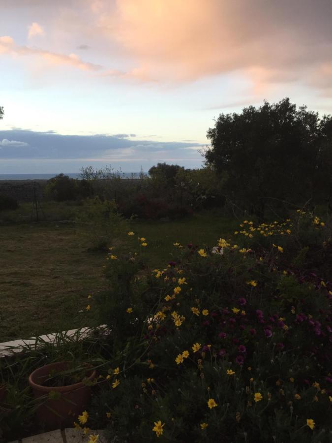 Mareulivi Bed and Breakfast Ostuni Exteriör bild